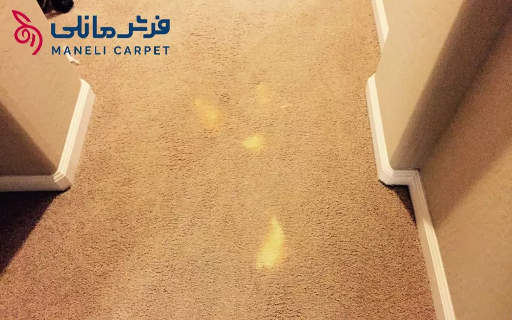 روش های رفع زردی فرش